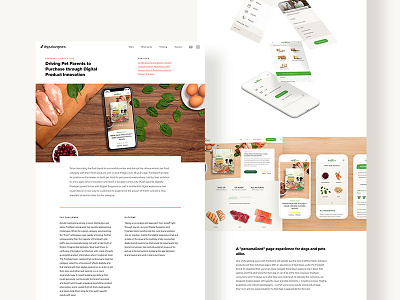 Case Study case study cms food mega nav menu mobile navigation pets sketch ui ux web design