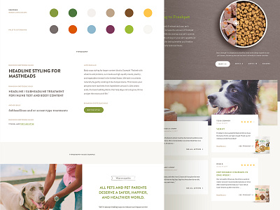 Website Stylesheet design dog food pet stylesheet typography ui ui kit ux website website redesign