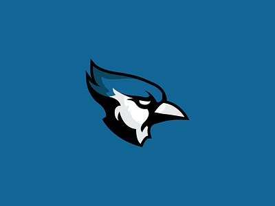 Bluejays Sports Logo academic bird blue bluejay college design graphic icon identity illustration logo vector