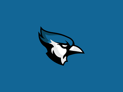 Bluejays Sports Logo