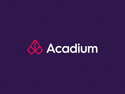 Acadium Rebrand art direction branding illustration logo rebrand web