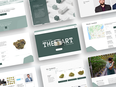 Six Labs Cannabis Website Design