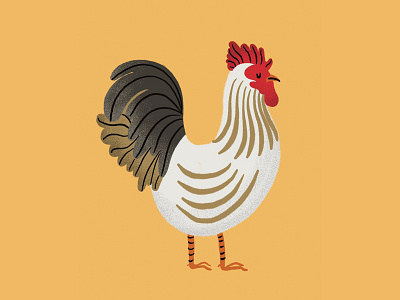 Rooster Spot Illustration