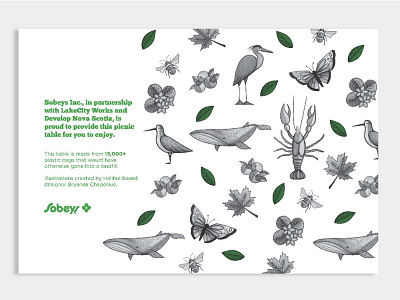 Sobeys Ultimate Picnic Table Inlay Illustration and Design