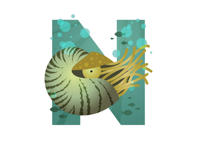 N is for Nautilus illustration kids letters n nautilus