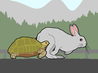 Tortoise and Hare animals gif hare illustration line art racecar tortoise