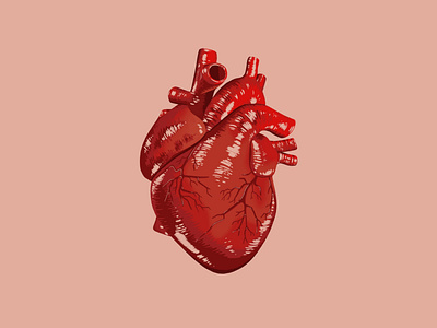 Happy ❤️ Weekend design digital illustration heart hearts human heart illustration illustration art illustration digital procreate procreate art procreate brushes procreateapp valentine valentine day valentines valentines day valentinesday