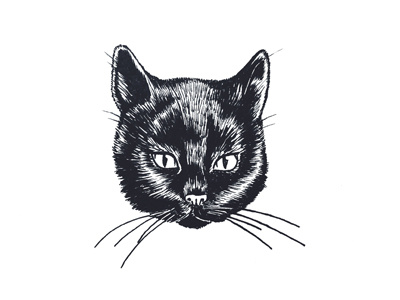 Black Cat black and white black cat cat drawing halloween illustration ink inktober pen and ink