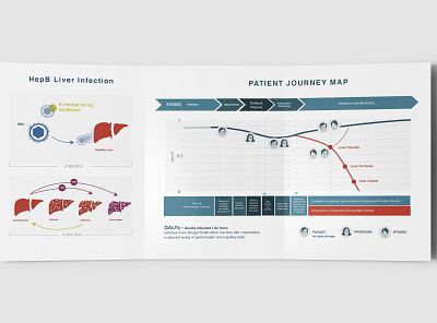 HepB Infographics datavisualization journey map ux vector