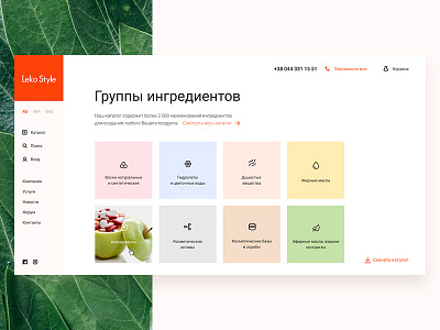 Group of ingredients design interface menu natural second screen