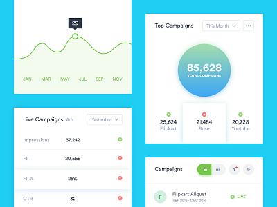 Campaign Management & Analytics