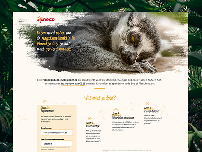 Eneco ringstaartmaki Planckendael campaign design minisite ux web webdesign website