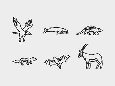 Animal icons