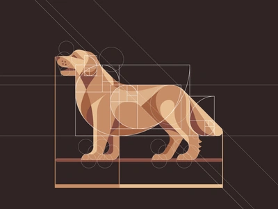 Golden Retriever animal art clean creative dog drawing emblem geometric ghitea design golden ratio golden retriever graphic designer grid illustration logo logo inspiration logo sign mark symbol vector