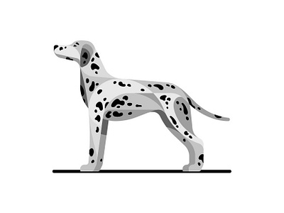 Dalmatian