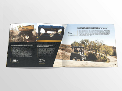 MDV Brochure - 3 of 3 branding brochure design design