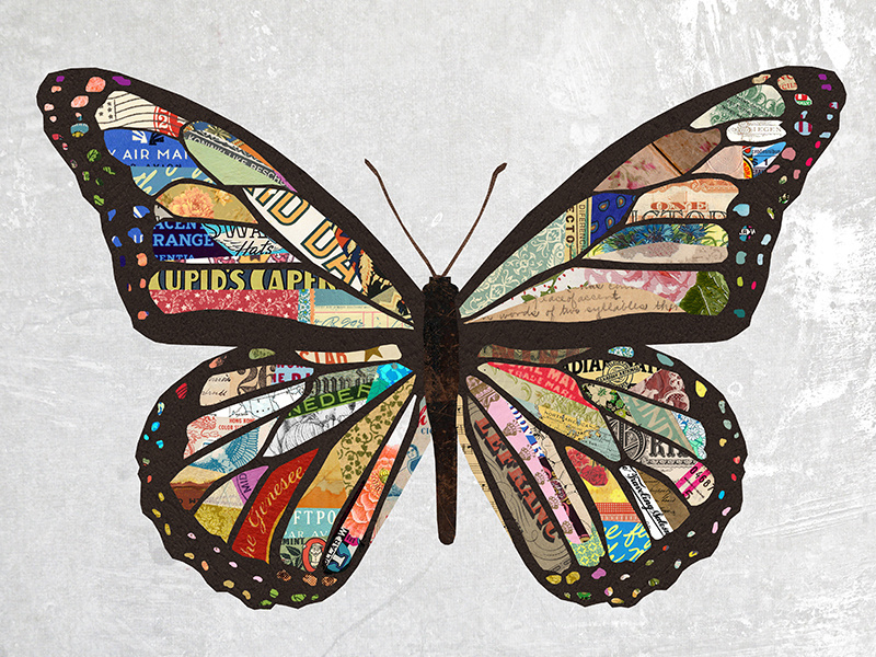 collage art butterfly