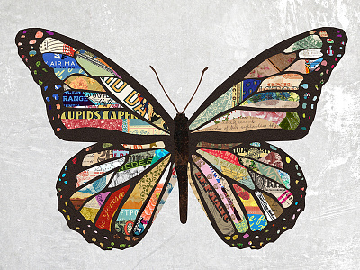 Collage Butterfly