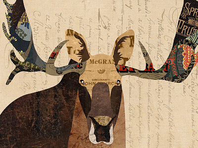 Moose Collage animal art print collage cut and paste design digital illustration moose paper vintage