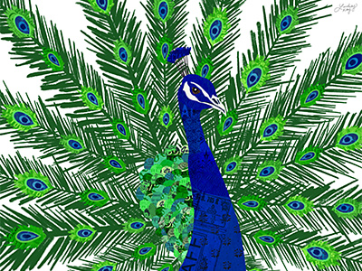 Peacock Collage bird blue digital collage feather feathers green lindseykayco peacock peacock collage peacock illustration royal blue zoo