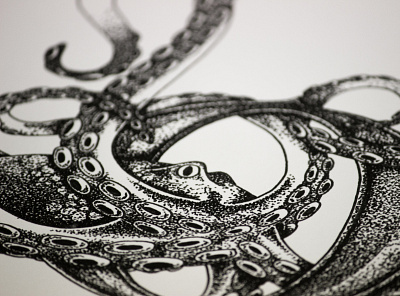 Octopus for Black Roe, London illustration octopus pen pointilism sketch