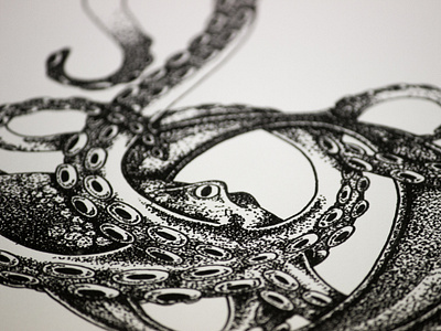 Octopus for Black Roe, London