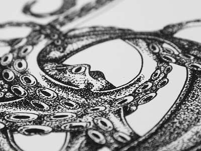 Octopus Detail branding illustration pen tattoo