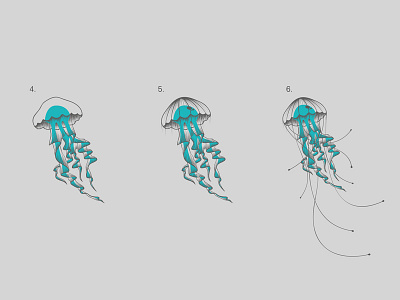 Jellyfish Illustration Development