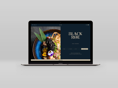 Black Roe Website Concept brand brand identity branding branding design concept design logo visual identity website