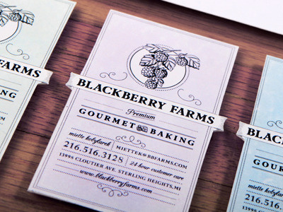 Blackberry Farm's Branding branding business card typography
