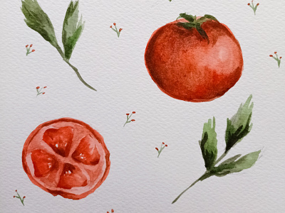 Tomato design food illustration illustration tomato watercolor watercolor illustration акварель детские книги