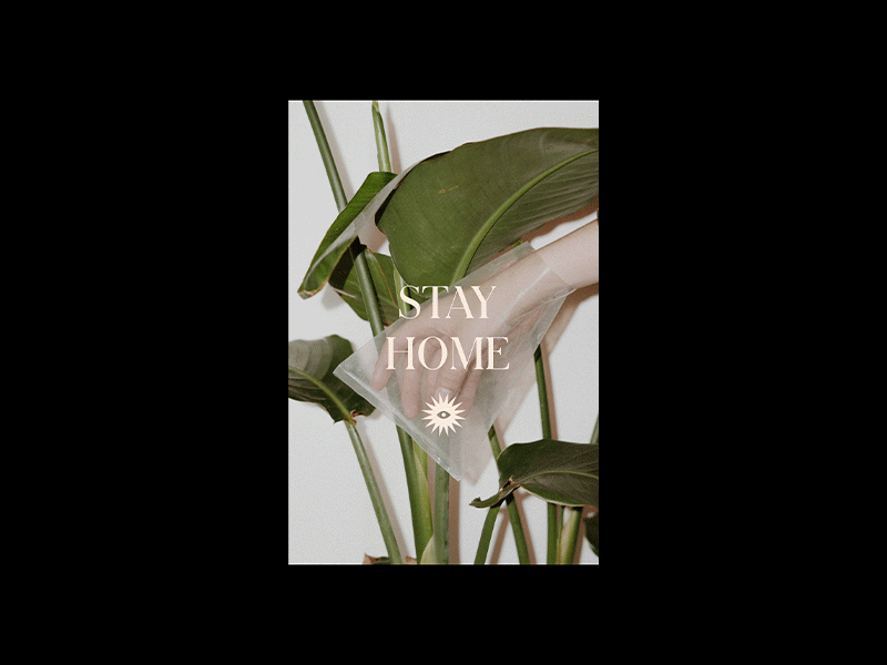 Stay Home design gif layout minimal plants stay home typography