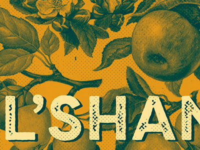 Apples and Honey for Rosh Hashana