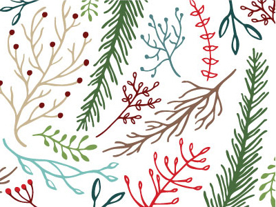 Winter Foliage branches christmas foliage holiday leaves winter