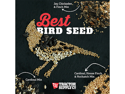 Tractor Supply Social Graphic bird seed design lettering marketing seeds social graphic