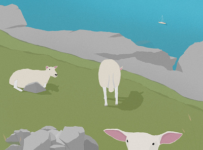 sheep and sheep and sheep adventures illustration pictures