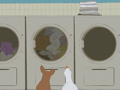 laundromat