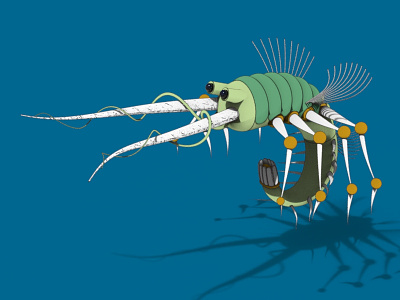 Fantastic Creature (5) 3d art concept design fantasy illustration imaginary insect surreal toon