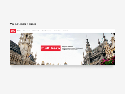 Multilearn Logo Design Presentation