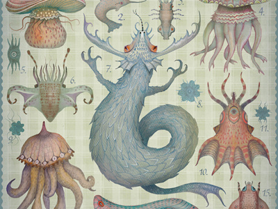 Marine Curiosities Tab. II animals cephalopods creatures insects marine creatures