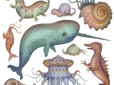 Creatures of the Whim-sea animals jellyfish narwhal nautilus sea creatures sea dragon snail whales