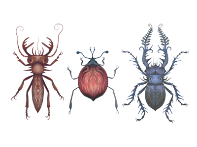 Beetles