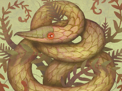 The Fern Viper errratum fern viper illustration snake