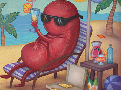 The Kidney beach fun illustration kidney illustration