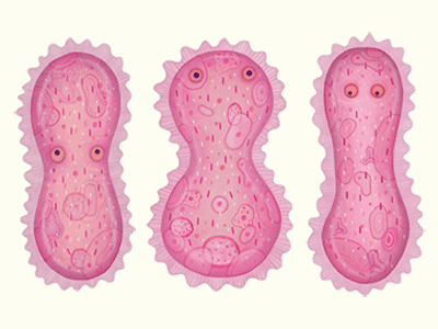 Bacteria - Localis Positivus biosporin illustration character design characters gif illustration