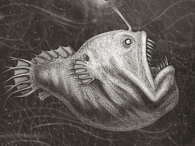 Anglerfish anglerfish animal species animals book illustration illustration