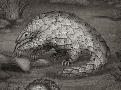 Pangolin