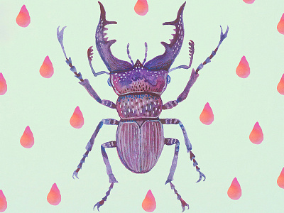 Stag Beetle animals illustration insects stag beetle watercolors