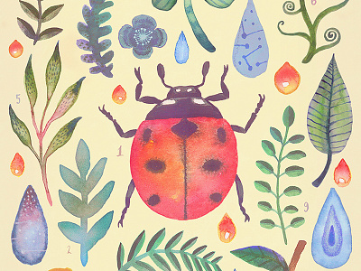 Et coloris natura / tab.II animals illustration lady bug plants watercolors