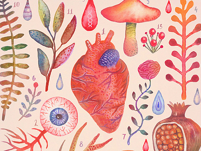 Et coloris natura X anatomy animals eye heart illustration plants watercolors